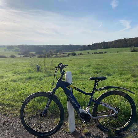 Ferienhaus Eifelstuben Mit Charme - Bauernstube Vulkaneifel - Naehe See Und Burgruine Ulmen Zewnętrze zdjęcie