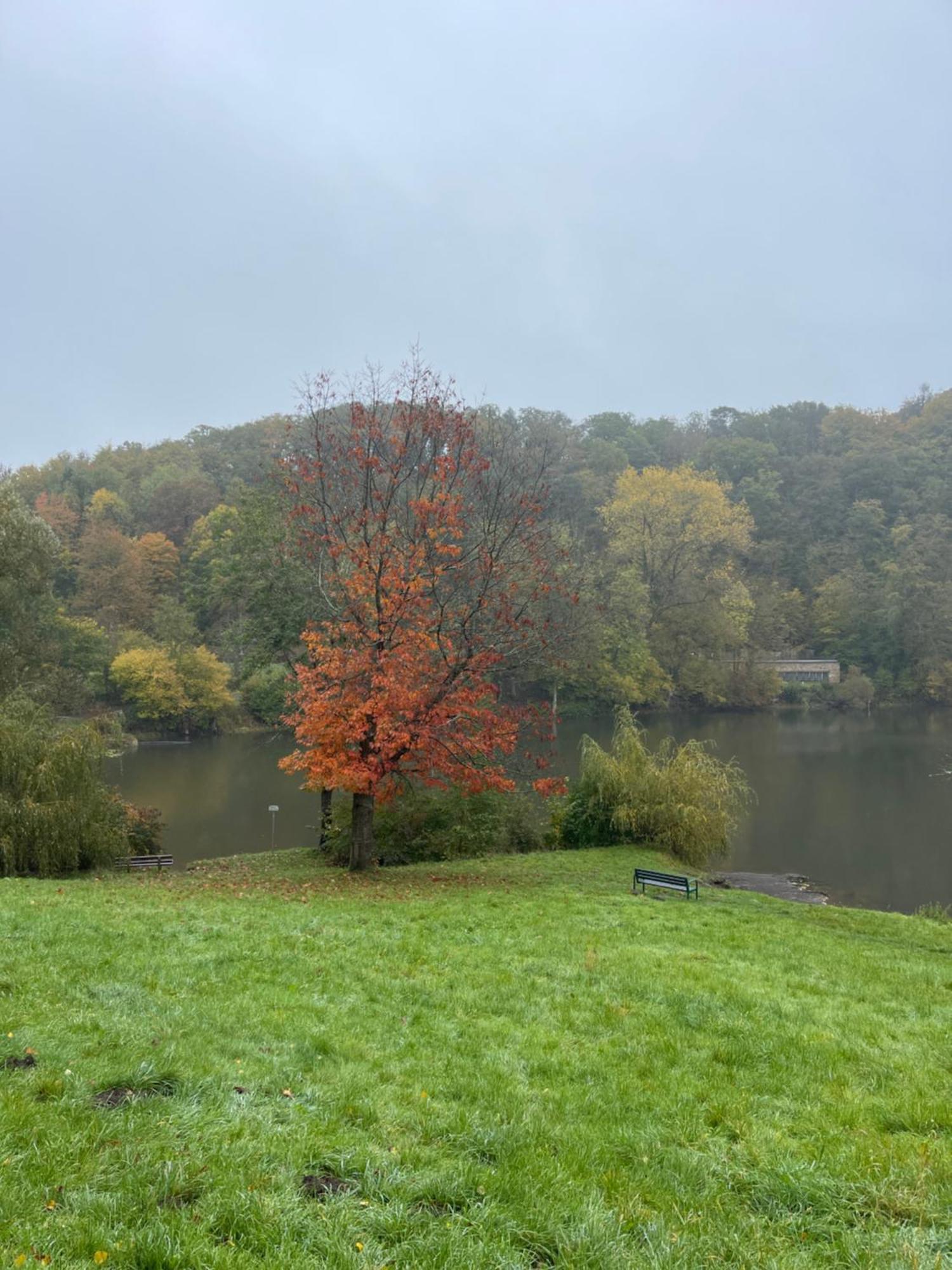 Ferienhaus Eifelstuben Mit Charme - Bauernstube Vulkaneifel - Naehe See Und Burgruine Ulmen Zewnętrze zdjęcie