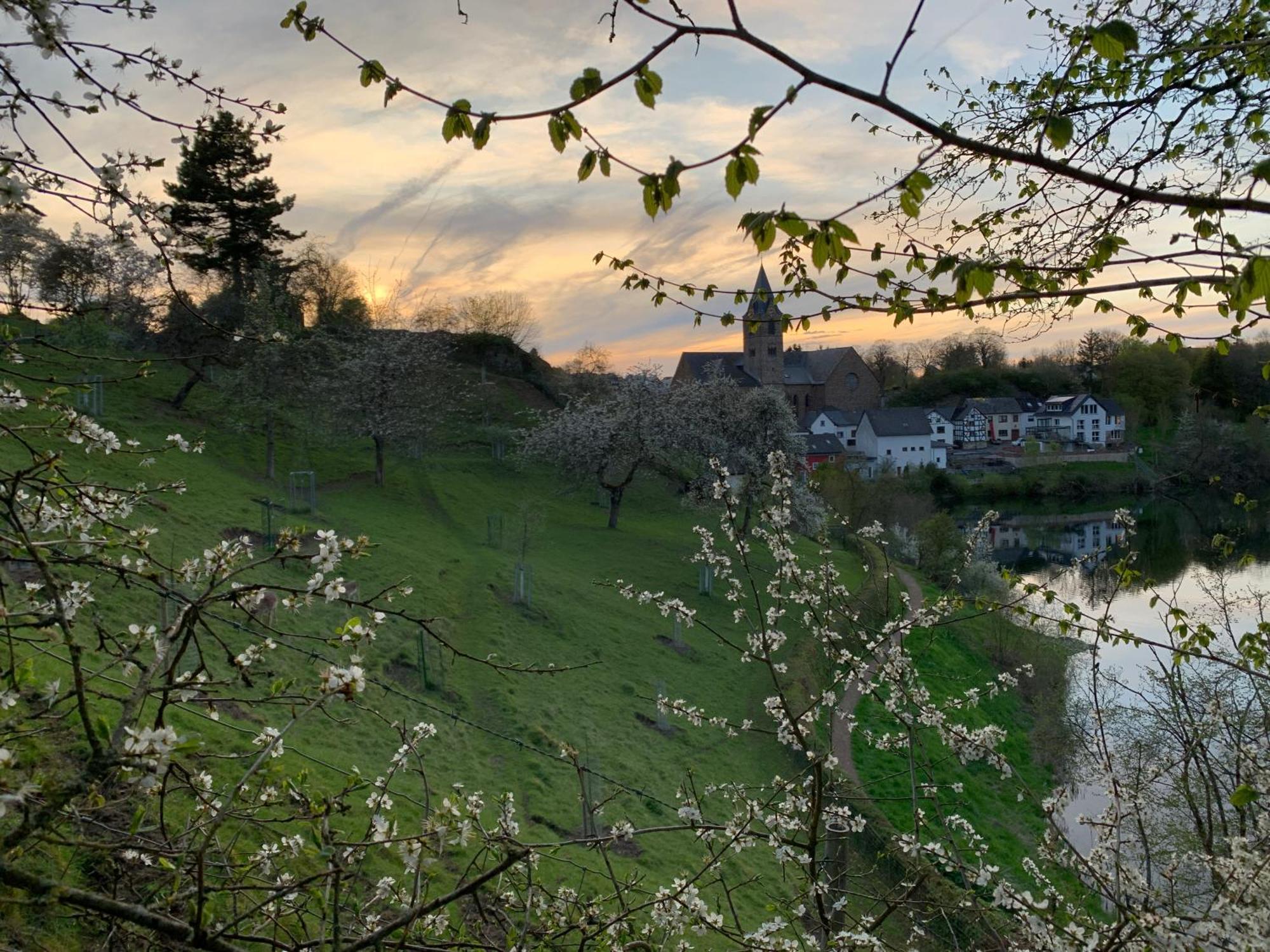 Ferienhaus Eifelstuben Mit Charme - Bauernstube Vulkaneifel - Naehe See Und Burgruine Ulmen Zewnętrze zdjęcie